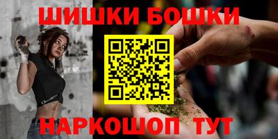индика Партизанск