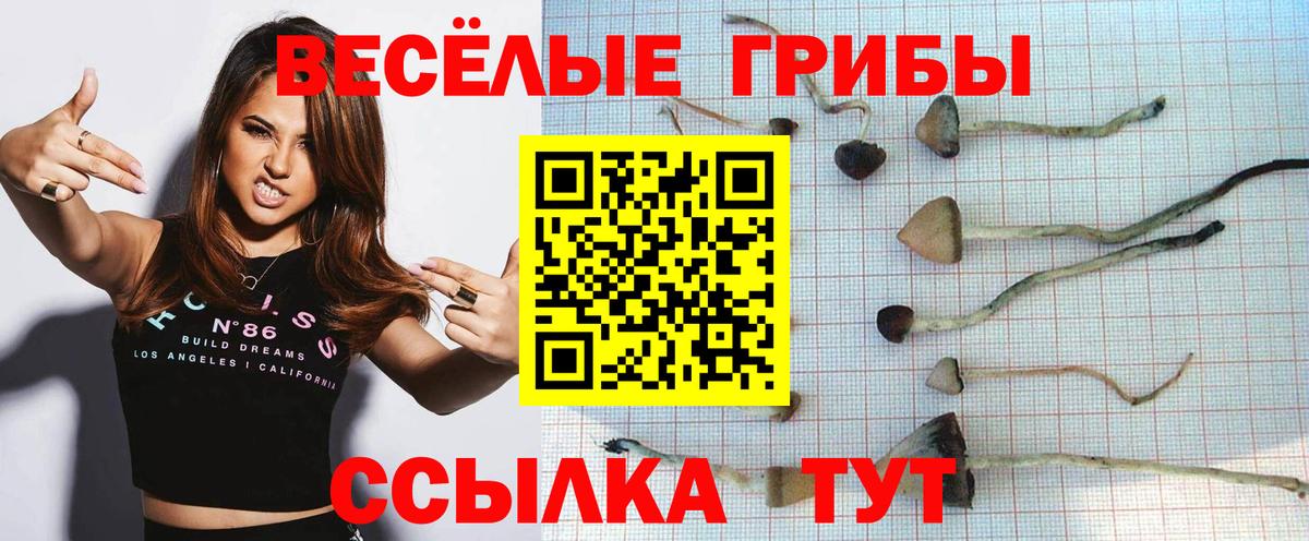 Сибай  Псилоцибиновые грибы MAGIC MUSHROOMS  Вход с VPN  Псилоцибиновые грибы MAGIC MUSHROOMS 